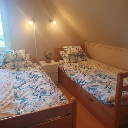 Sarga Liliom Vendeghaz *